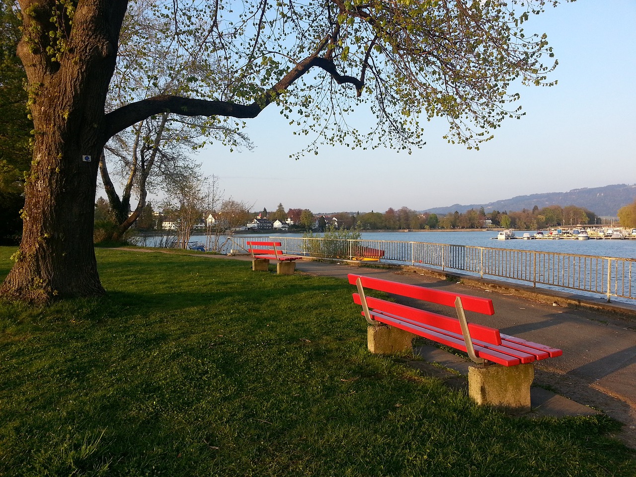 还希望能够 还希望能够